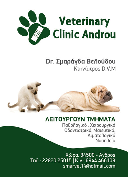 Veterinary Clinic of Andros